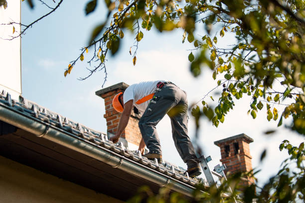 Best Roof Gutter Cleaning  in Richfield Springs, NY